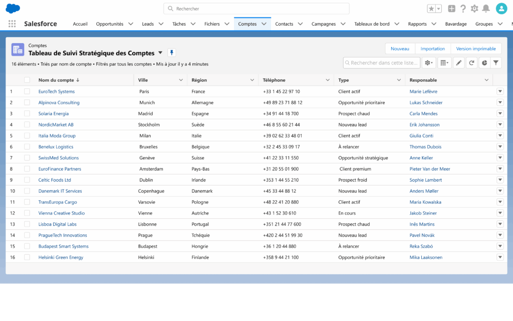 Tableau Salesforce pour le suivi client avec liste de comptes, infos clés et type de relation affichés.