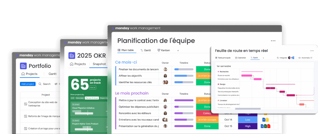 Aperçu des différents tableaux, des vues Gantt et du suivi de portefeuille de projets.