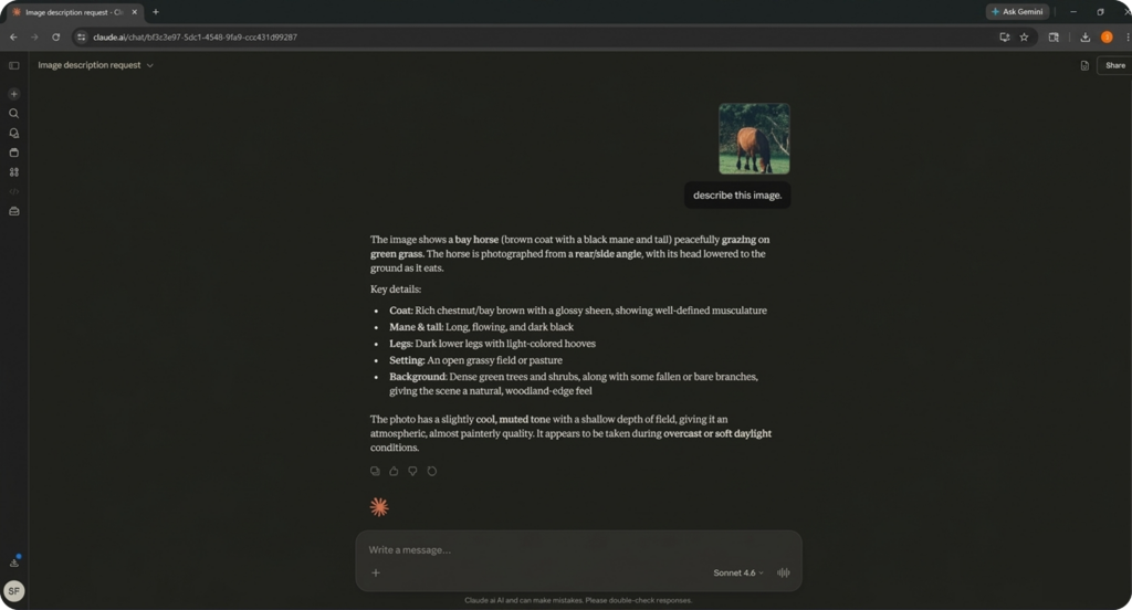 Interface utilisateur avec une analyse visuelle et textuelle précise réalisée par Claude AI.